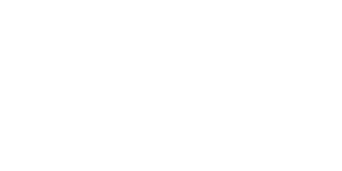 Elin Logo