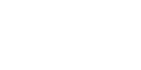 Ömer Premium Logo
